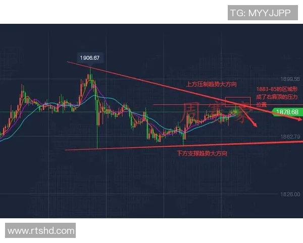 重庆乒乓球队战术解析与实战应用的深度探讨与展望 重庆乒乓球队战术解析与实战应用的深度探讨与展望